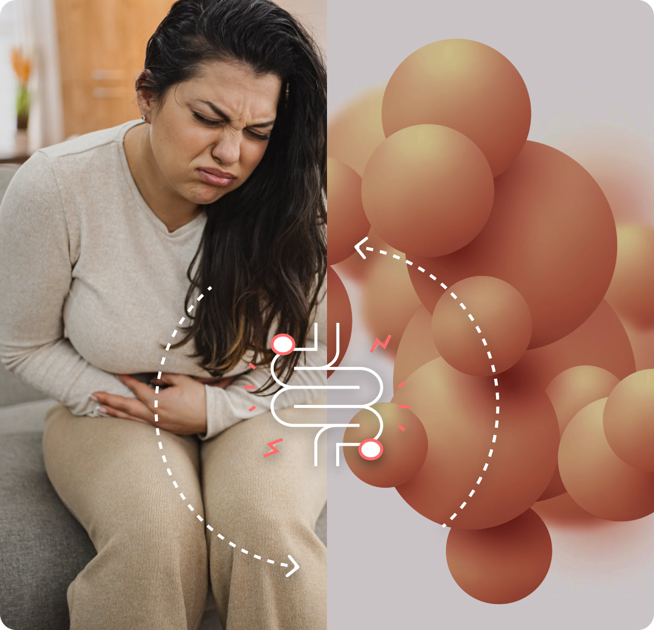 Finally stop guessing and follow a personalized program built for your body