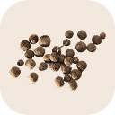 Allspice