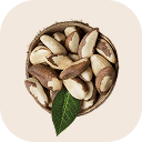 Brazil nut