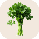 Coriander