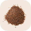 Flax (linseed)