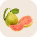 Guava