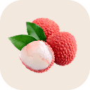 Litchi