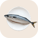 Mackerel