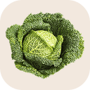 Savoy cabbage