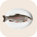 Trout (rainbow trout)